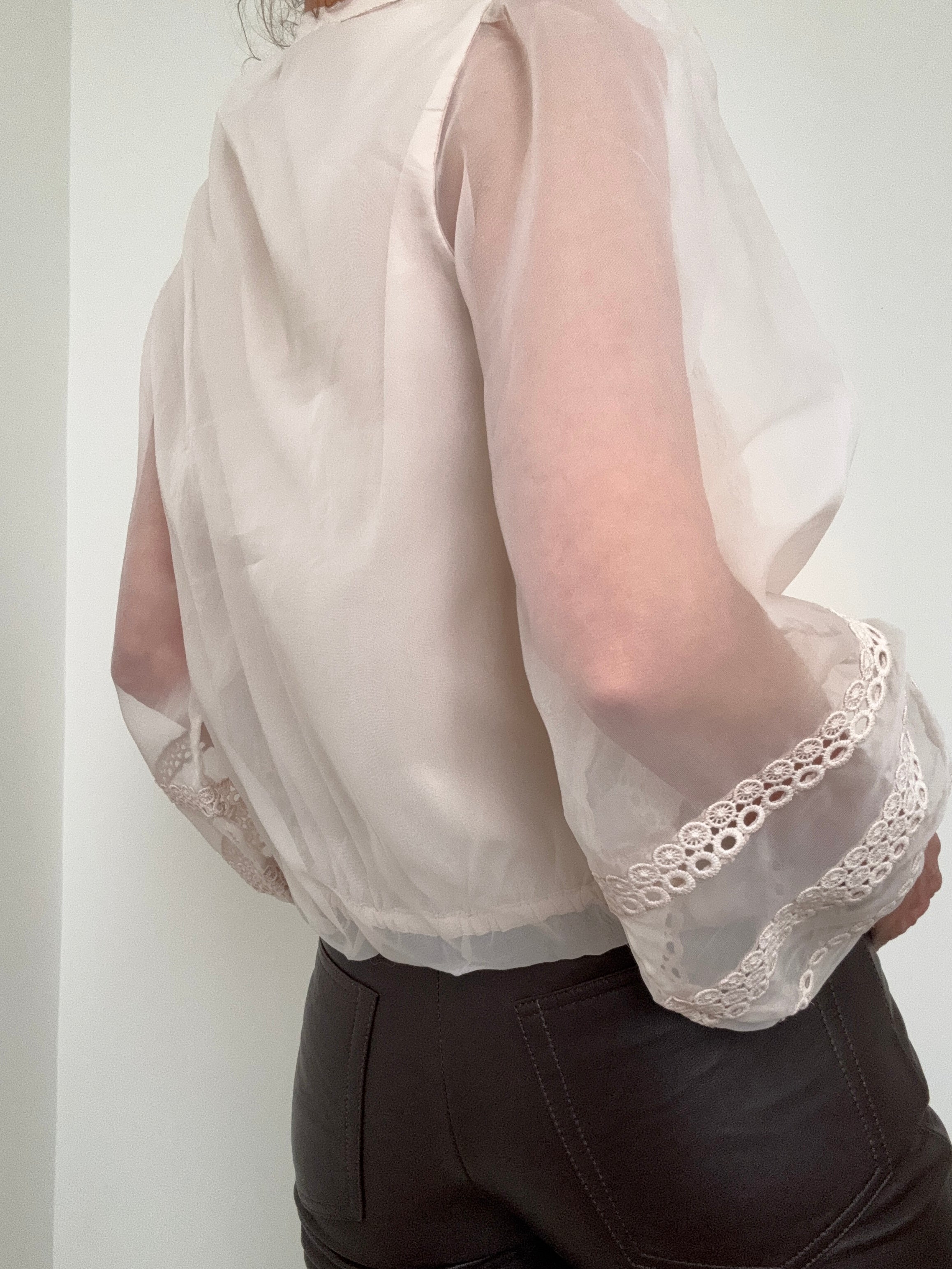 Sheer Trim Detail Long Sleeve Blouse