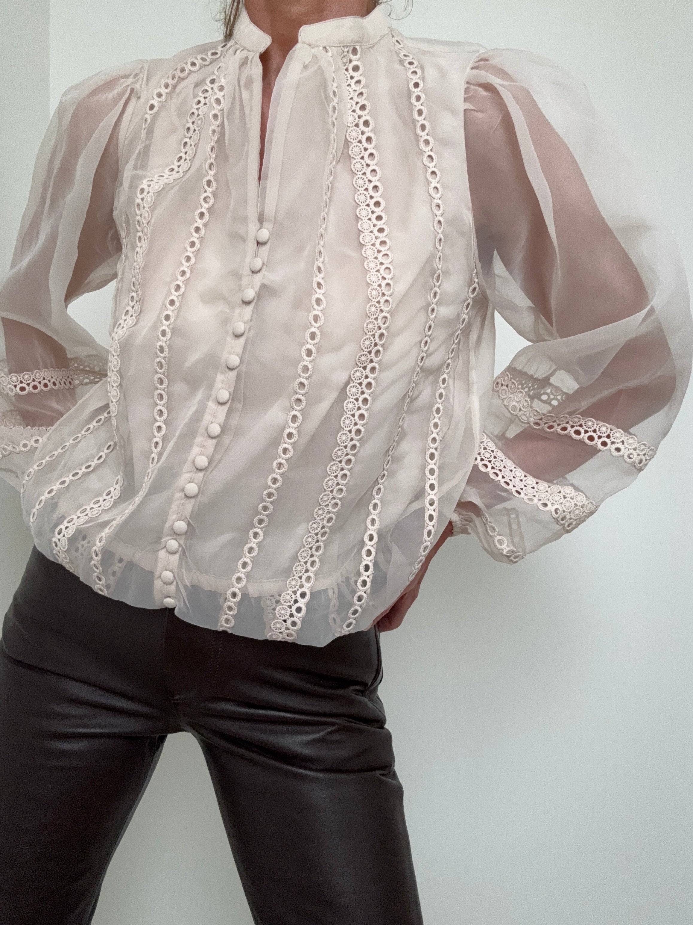 Sheer Trim Detail Long Sleeve Blouse