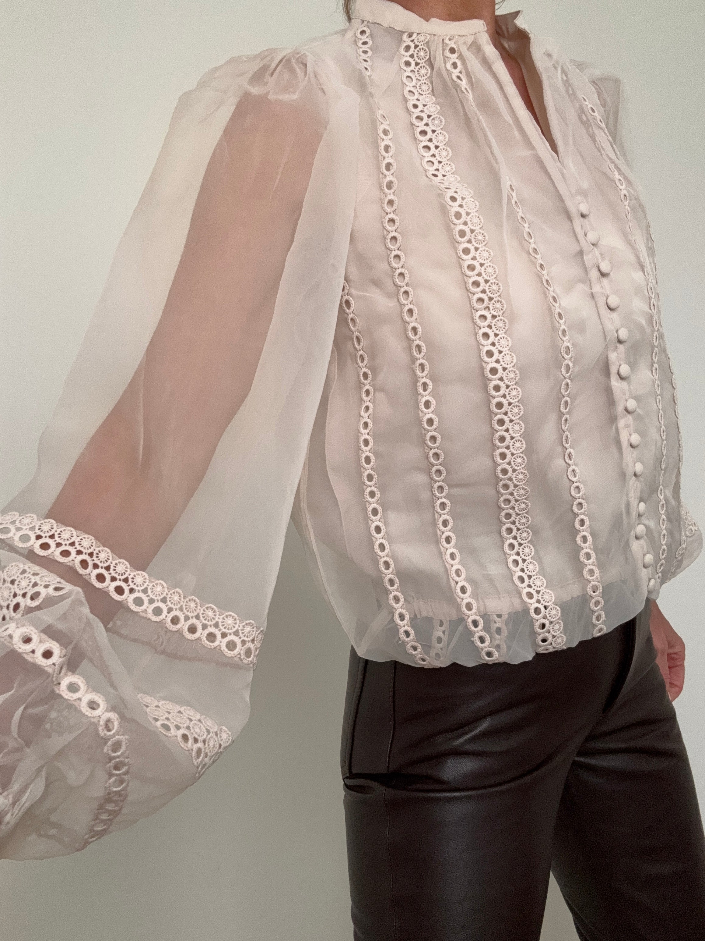 Sheer Trim Detail Long Sleeve Blouse