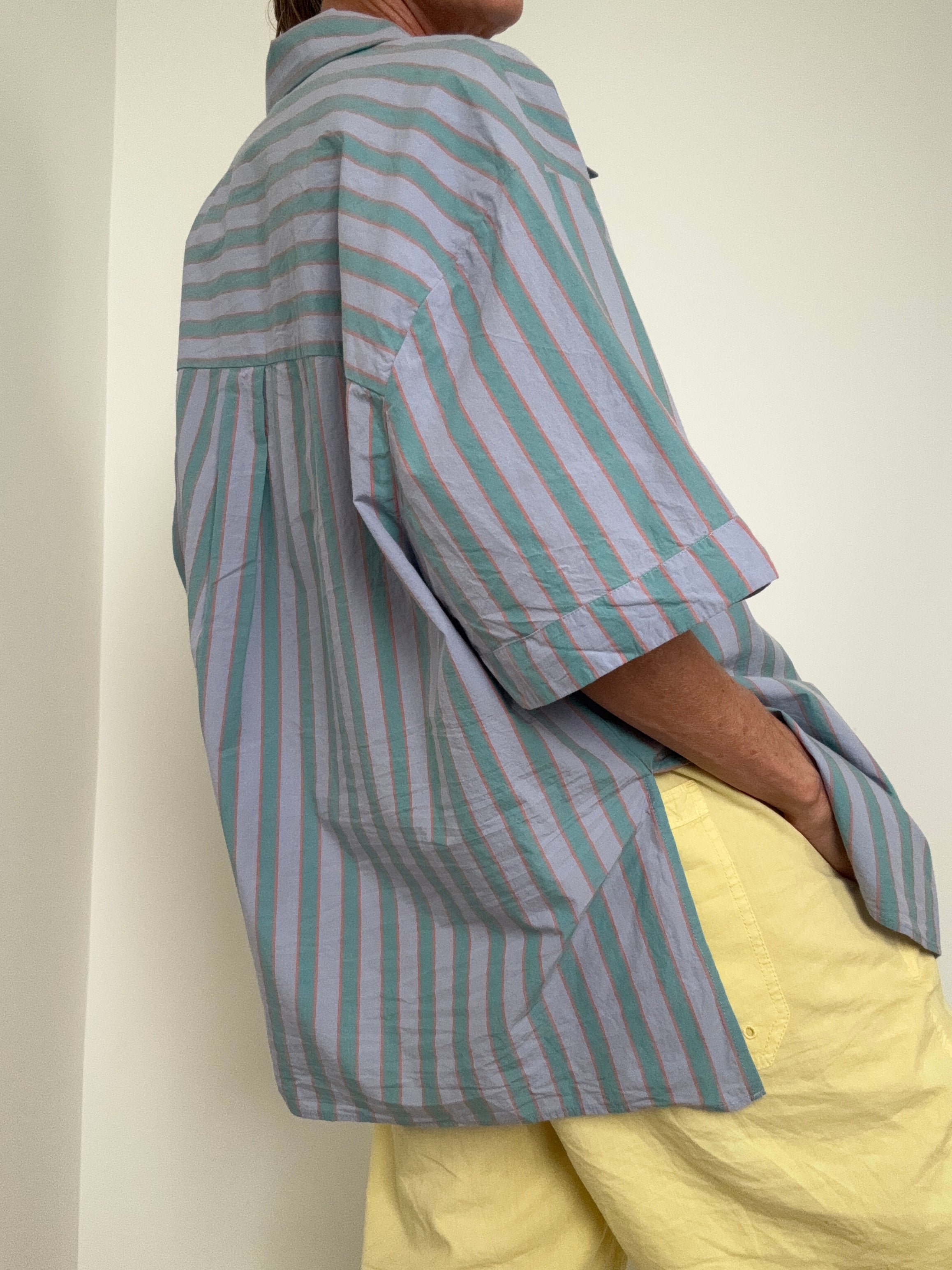 Lilac & Green Stripe Shirt | Tops