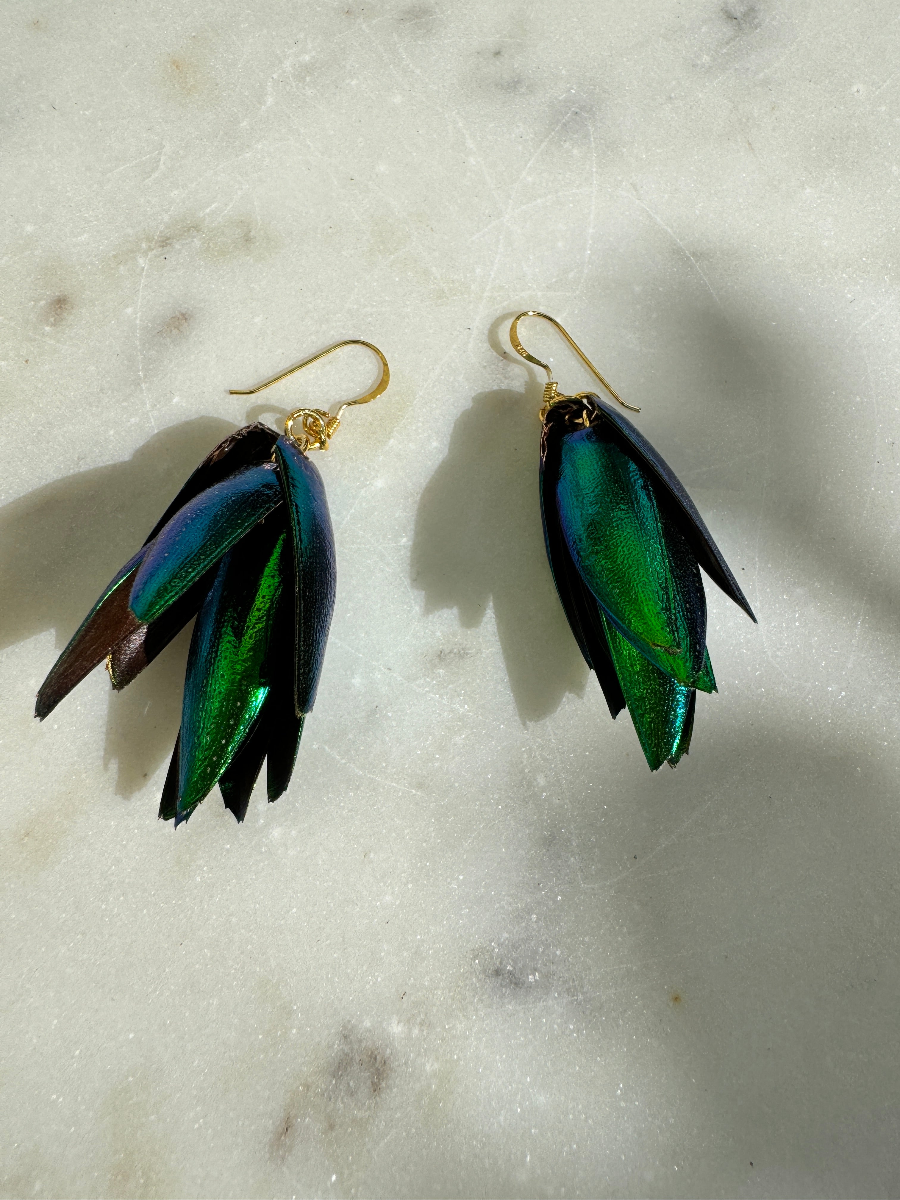 Future Nomads Earrings Beetle Wing Earring