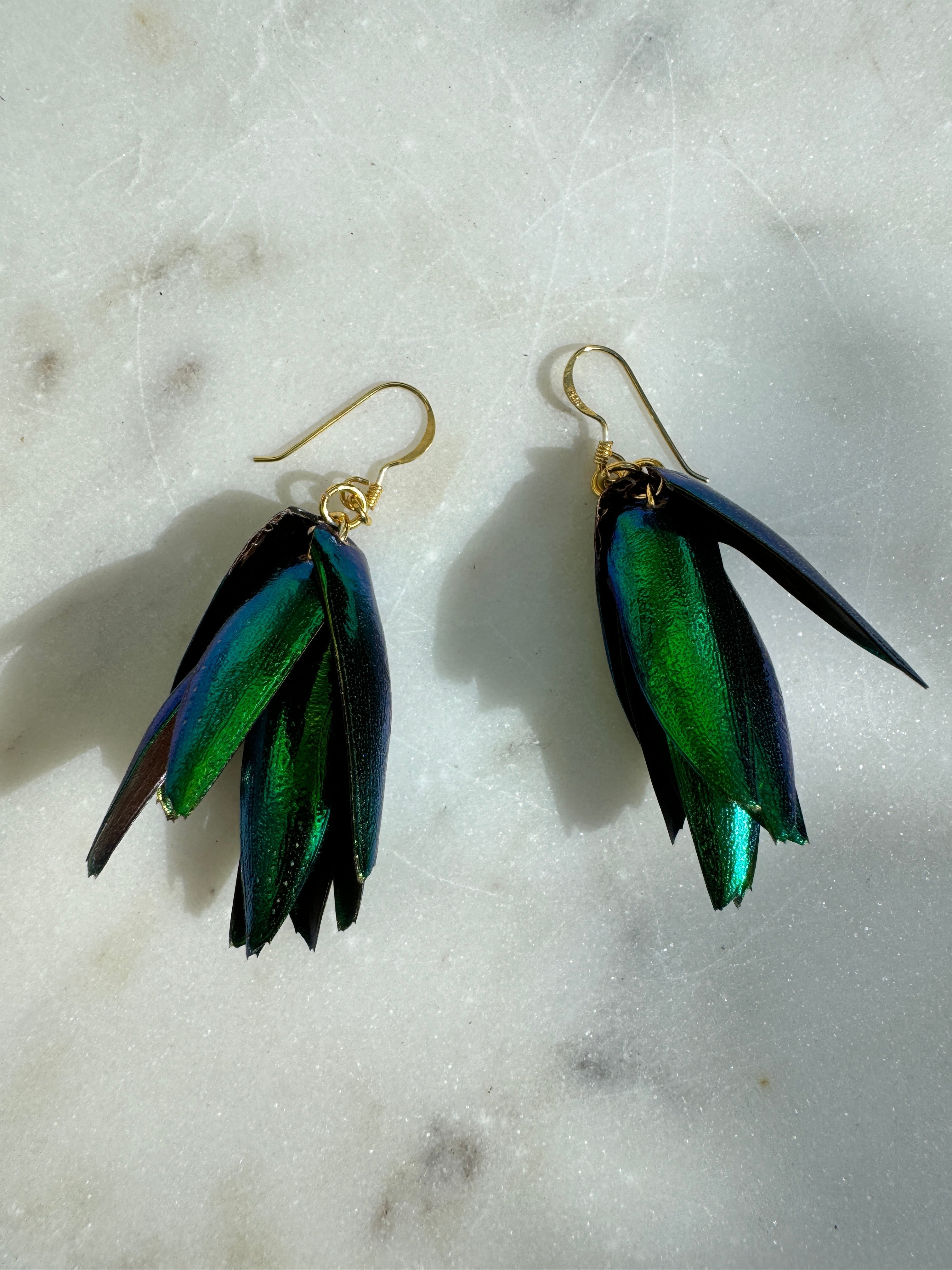 Future Nomads Earrings Beetle Wing Earring