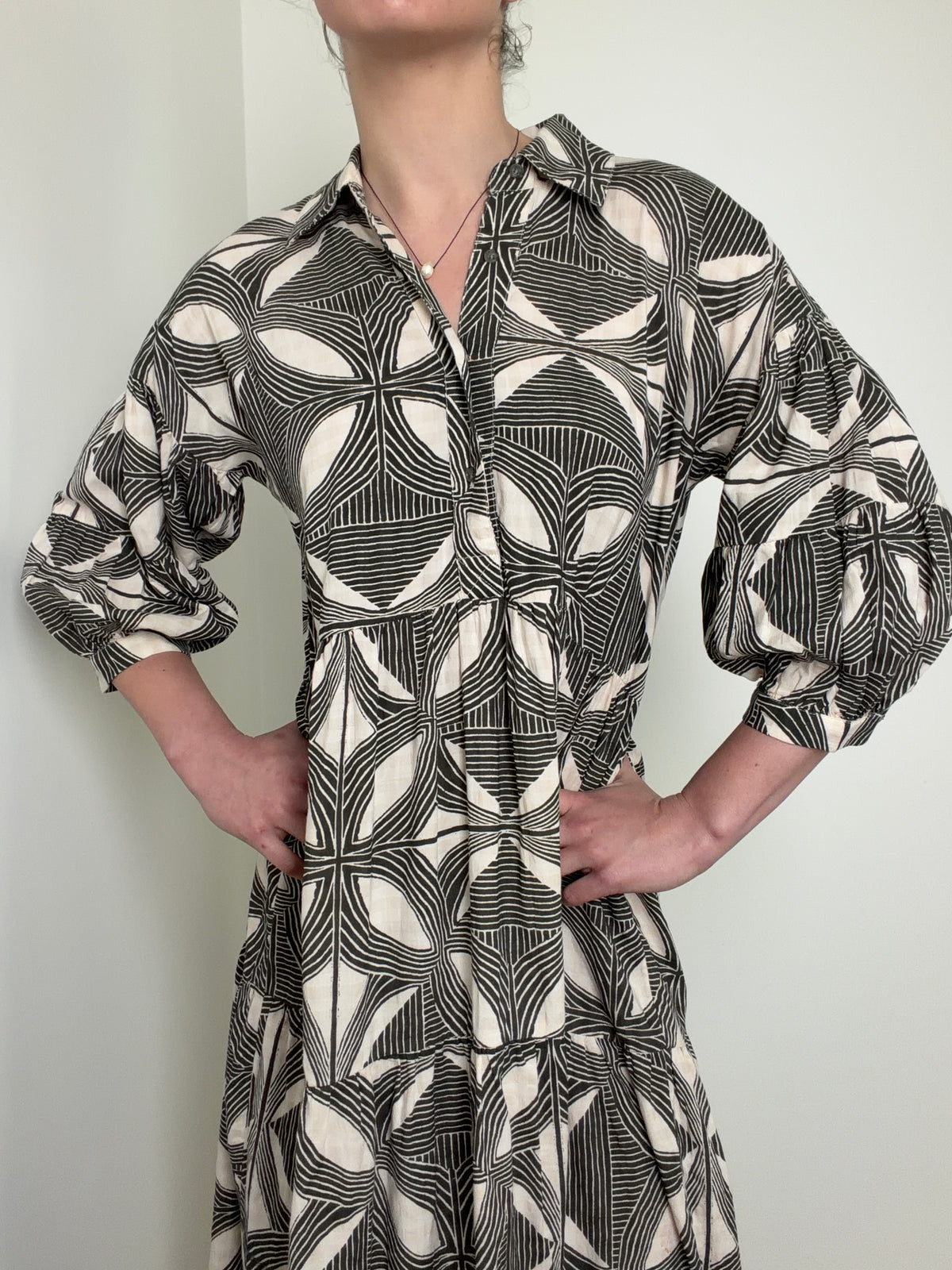 Carolita Print Tiered Shirtdress