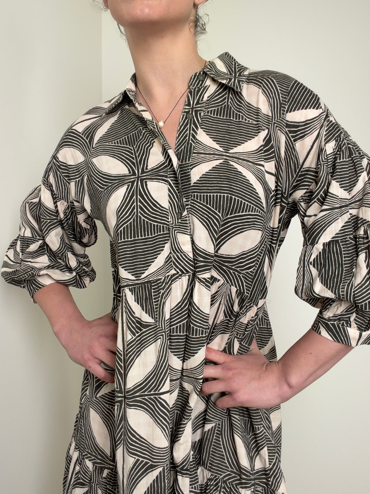 Carolita Print Tiered Shirtdress
