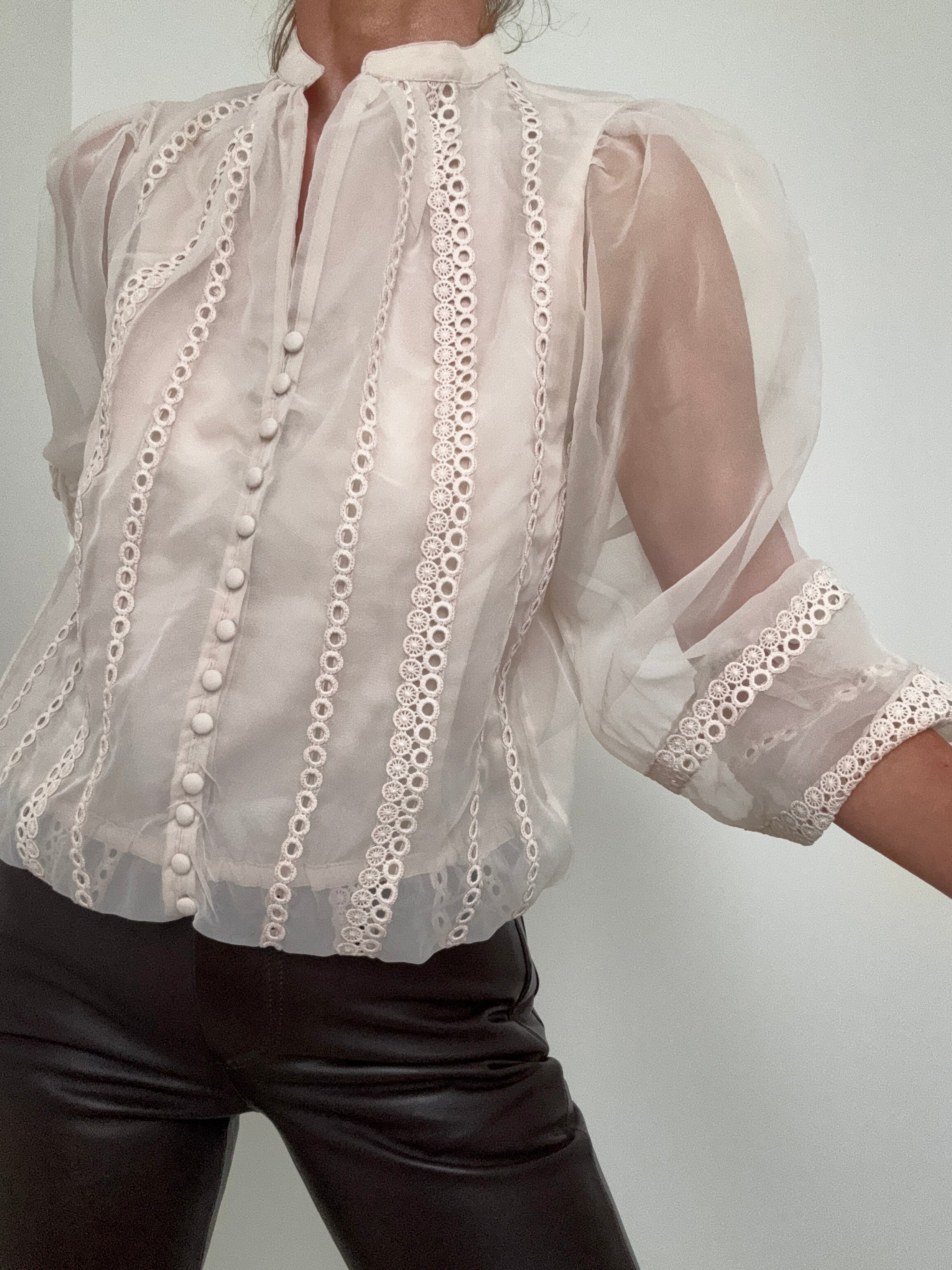 Sheer Trim Detail Long Sleeve Blouse