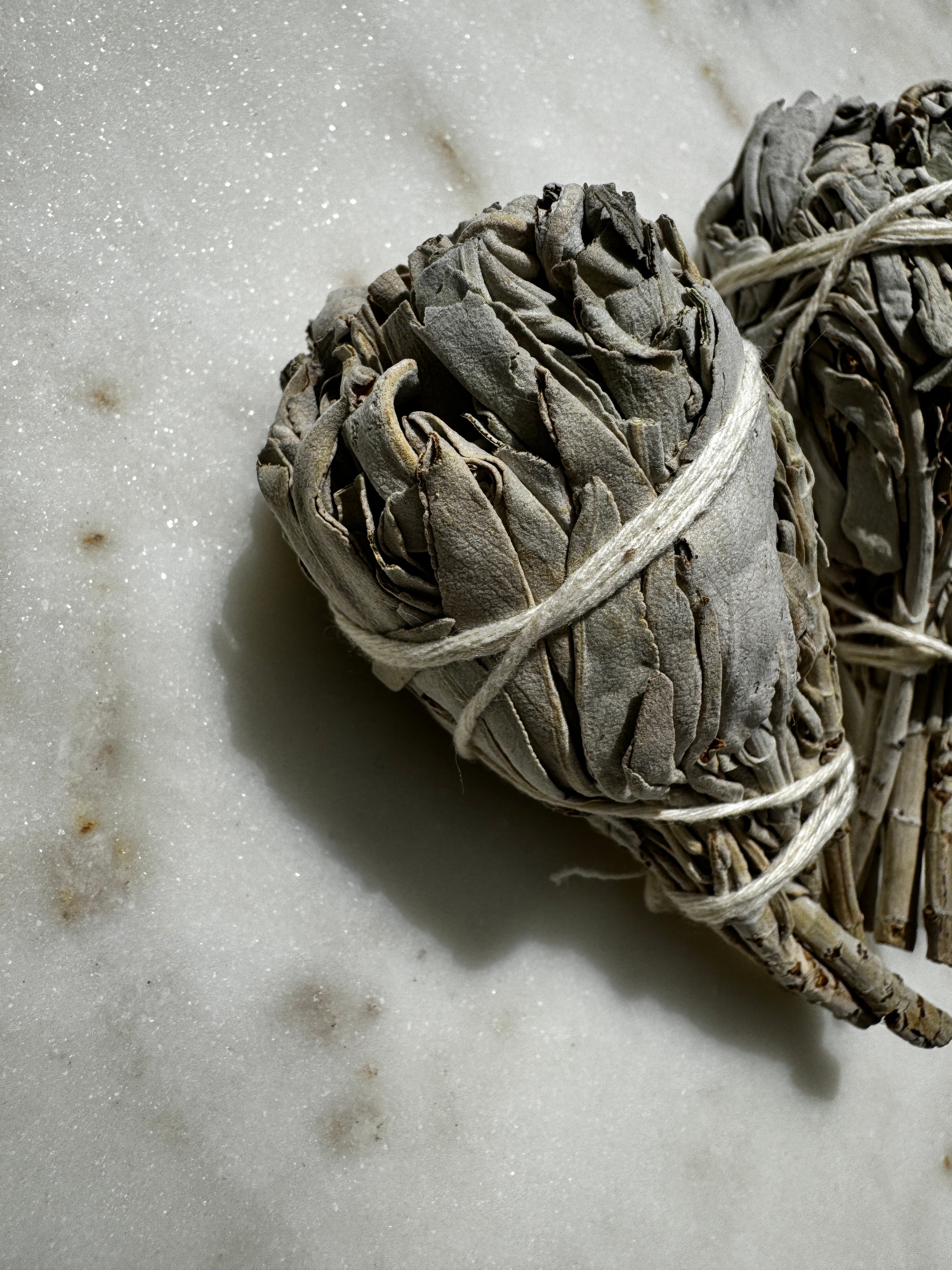 Future Nomads Incenses White Sage