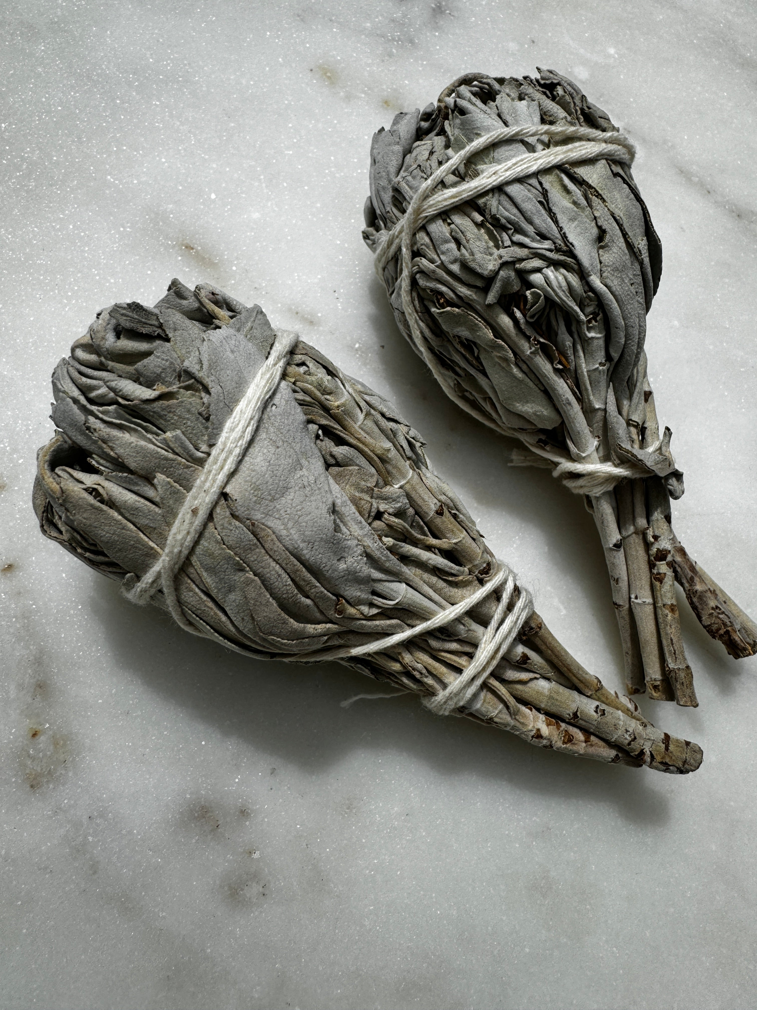 Future Nomads Incenses White Sage