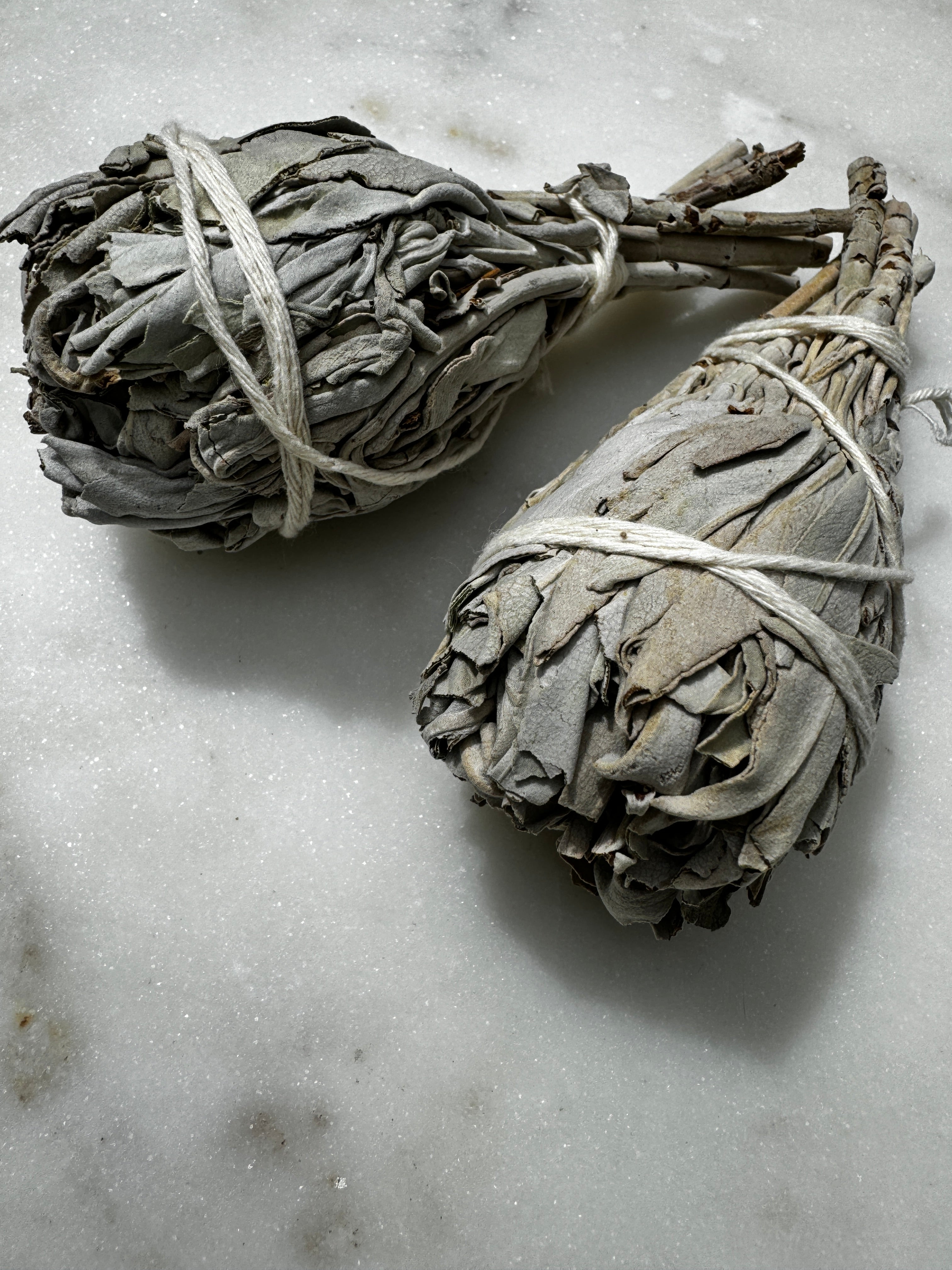 Future Nomads Incenses White Sage