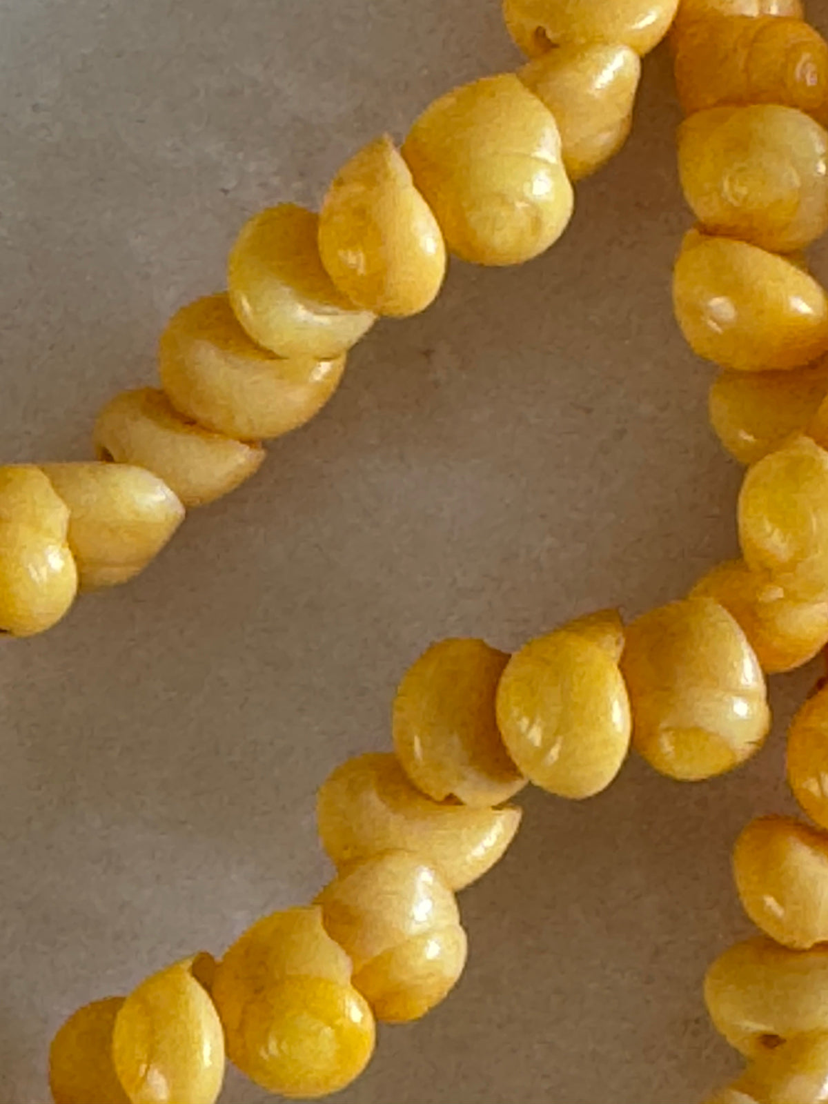 Shell Strand Necklace Sun – Jetsetbohemian