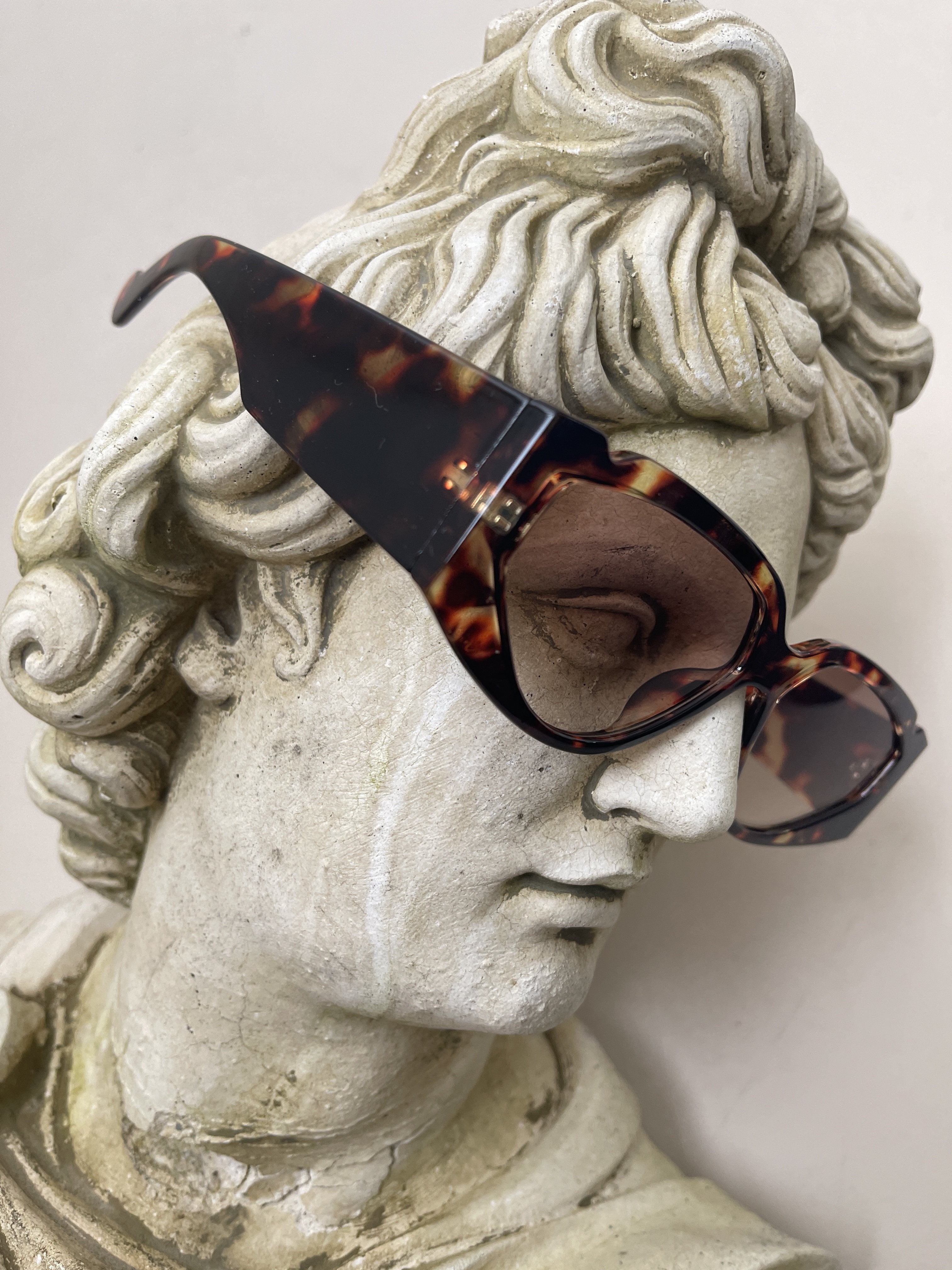 Tortoise Side Glasses | Sunglasses