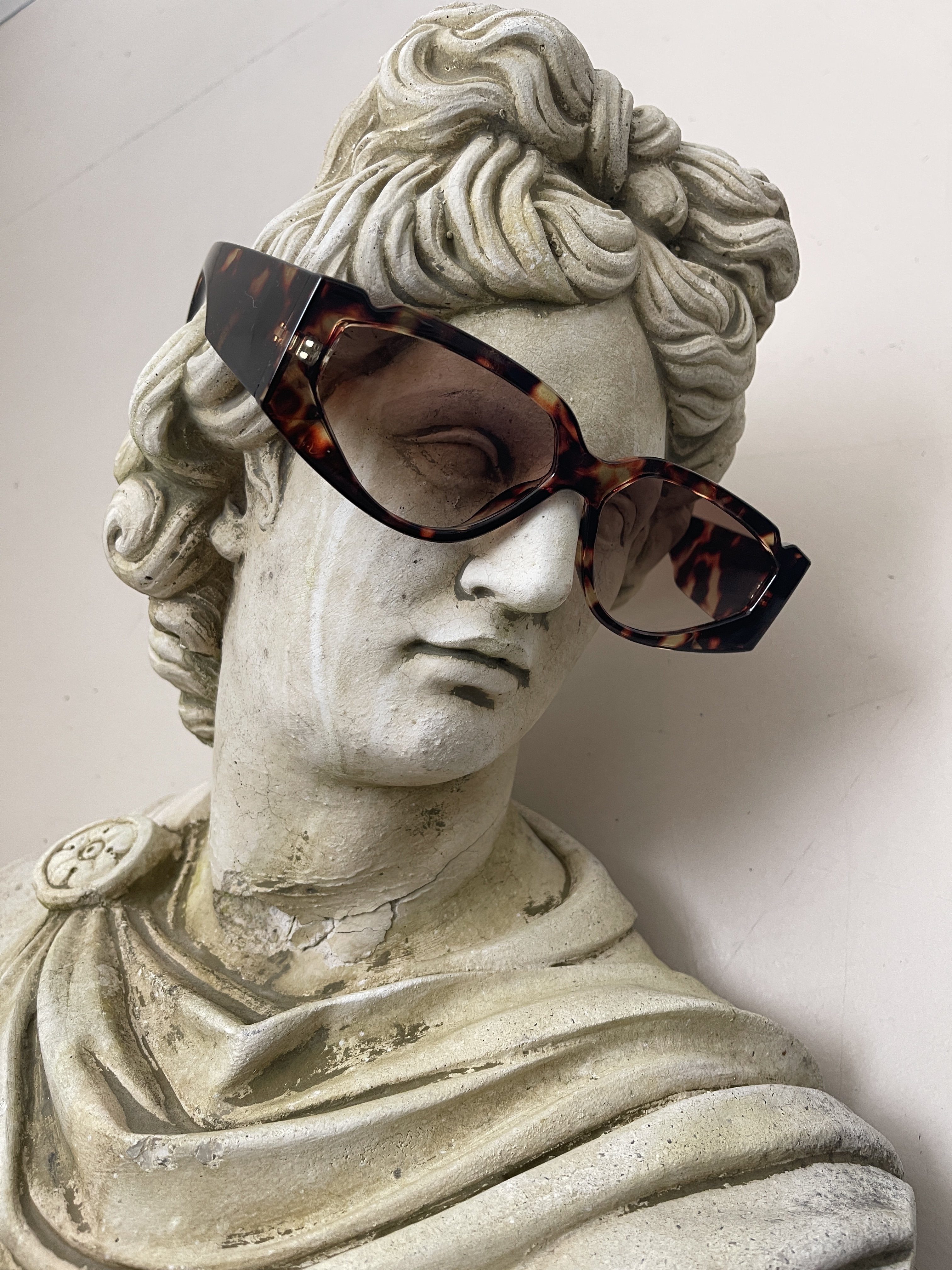 Tortoise Side Glasses | Sunglasses